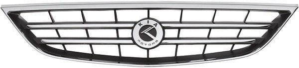 Radiator Grill CARENS 02.06 Chroom
