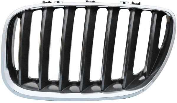 Grill Links BMW X5