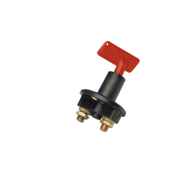 Power supply switch + 2 keys - 12/24 Volt