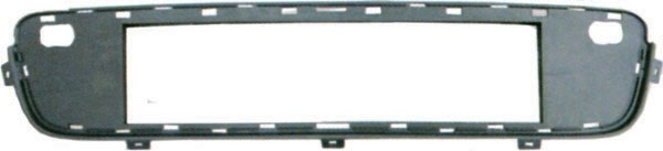 Bumper GrillHLTER BMW X5 07-10