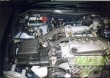 GREEN kit Honda Civic IV (1987-1991) 1.5i 16V 66kw (ED3/ED6