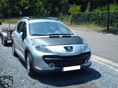 Steenslag/Auto Bra Peugeot 207 2006-2008
