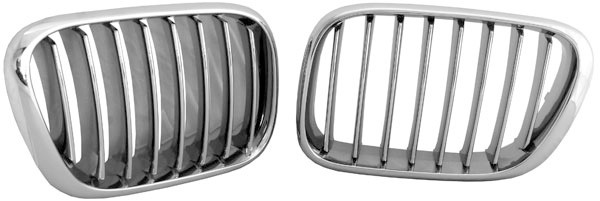 Grill Nieren BMW X5 99-03
