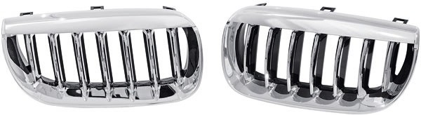 Grill Nieren BMW X3 03-10