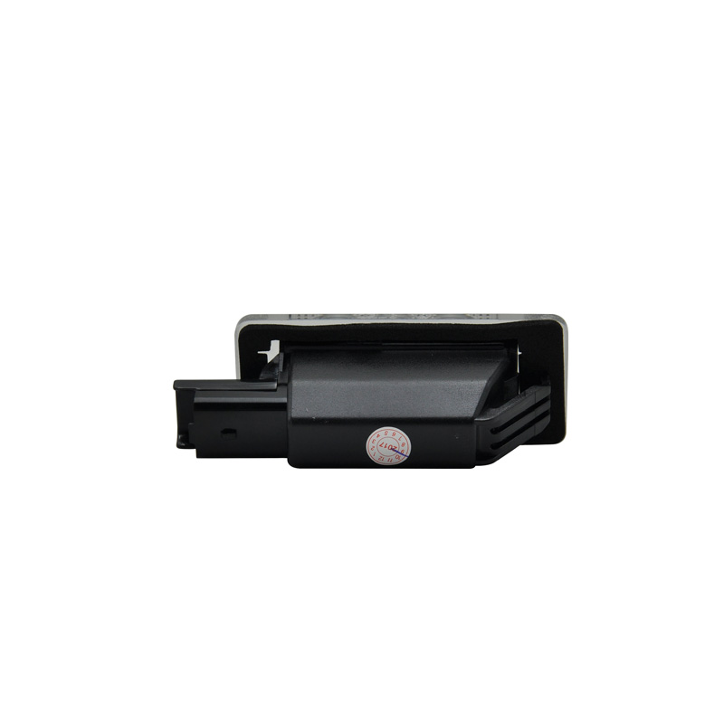 Set LED Nummerplaatverlichting  Peugeot diverse modellen