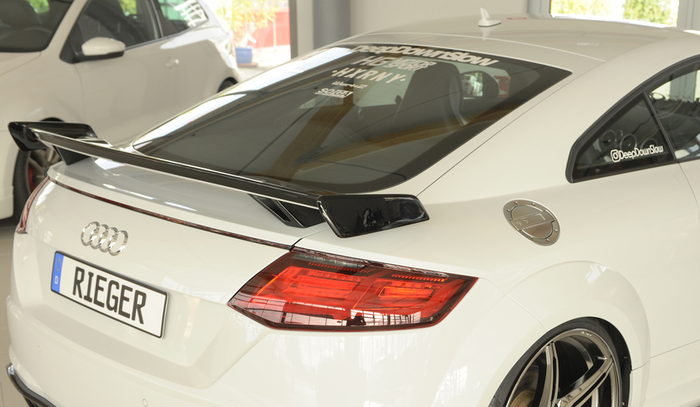 Spoiler Extensie Audi TT RS 8J ABS