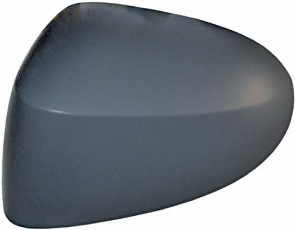 SpiegelKAP rechtsRENAULT MODUS 08->>
