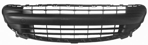 VoorBumper Grill P 207 06-09