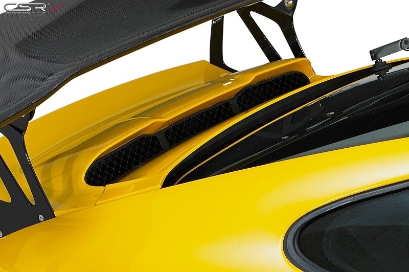 Afdekkap voor achterspoiler Porsche 911 (997) ZB146