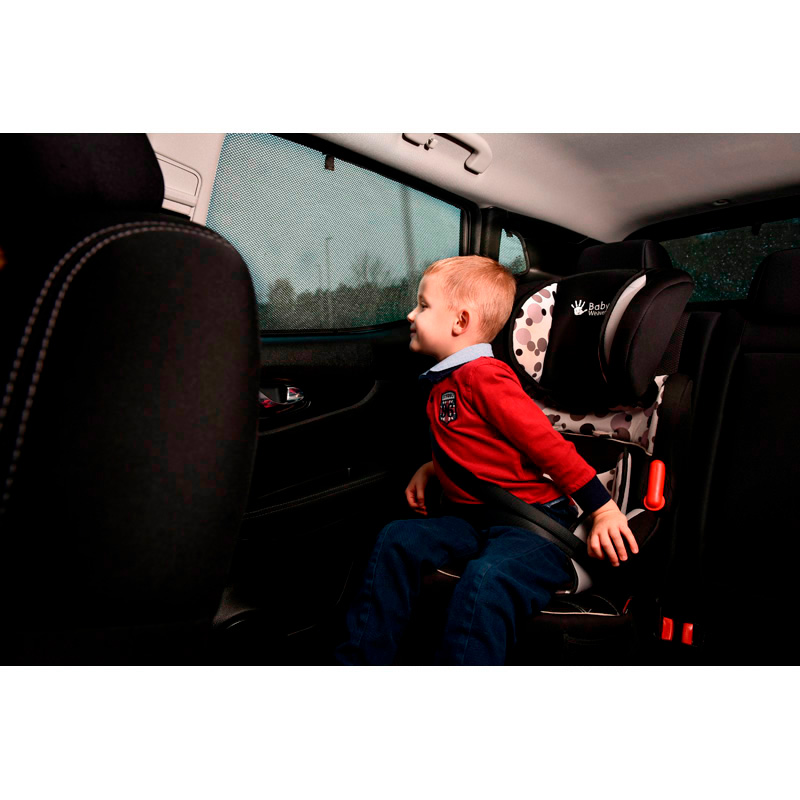 Set Car Shades  Alfa Romeo Tonale 2022- (4-pieces)