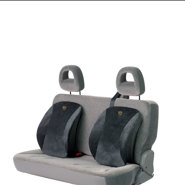 DEFA Ergonomische Lendesteun Zwart