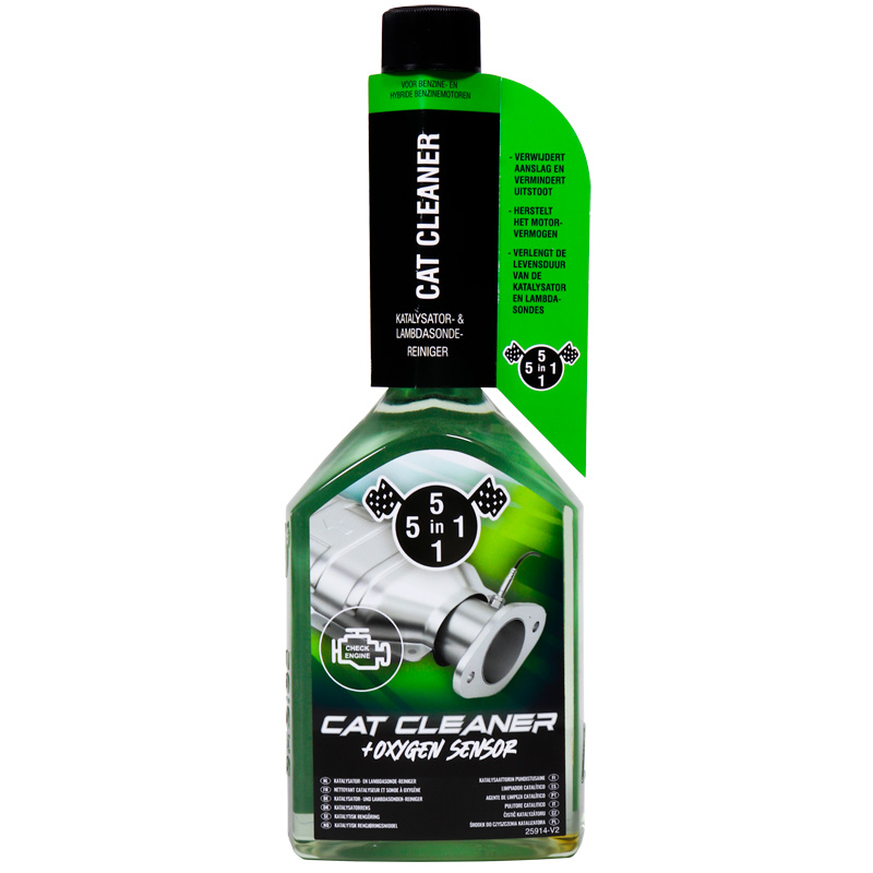 5in1 Katalysator reiniger 310ml