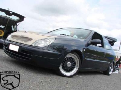 Steenslag/Auto Bra Citroen Xsara 2000-2001