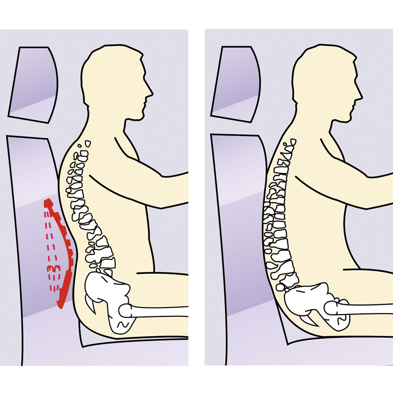Defa Adjustable Lumbar Support Grey