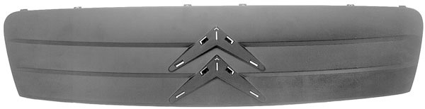 Radiator Grill C2 03-08 ZWART