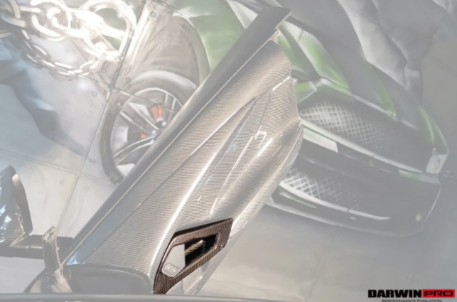 Lamborghini Aventador LP700 LP740 Coupe/Roadster Carbon Fiber Deurgreep 2011-2016