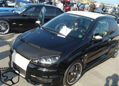 Steenslag/Auto Bra Peugeot 206 1999-2005