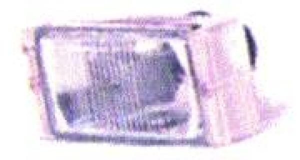 Mistlamp rechts CLIO 91-94 WIT VALEO PLASTIC rand WIT