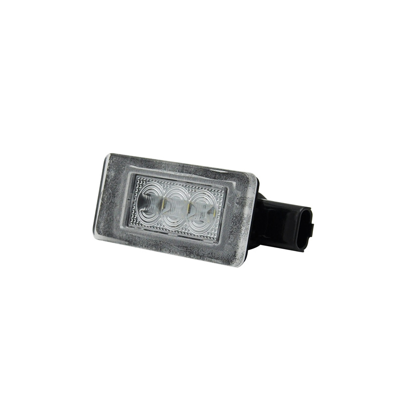 Set LED Nummerplaatverlichting  Peugeot diverse modellen
