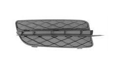 voorbumpergrille, links BMW X5 E70, 2007-2010