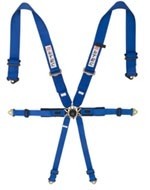 6 Punts Gordel LTEC FIA Pro Div. kleuren