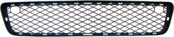 RadiatorGrill CENTER BMW X5 07-10