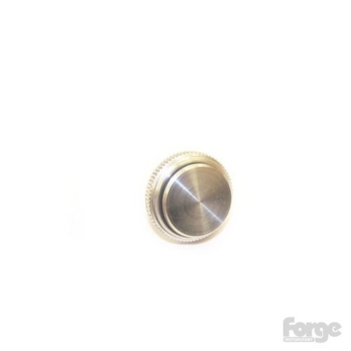 Valve parts REPLACEMENT BLANKING CAP FOR FMDVSPLTR FORGE