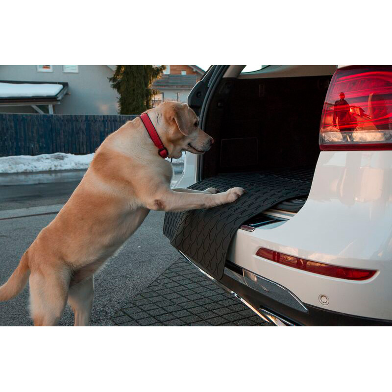 Rubbasol (Rubber) Universele 'Doggy Mat' / Kofferbakbeschermer - Small - 75x65cm.