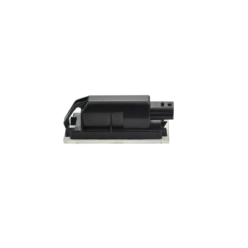Set LED Nummerplaatverlichting  Renault/Opel diverse modellen