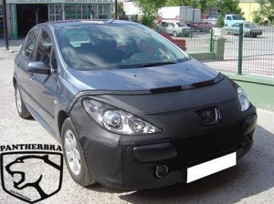 Steenslag/Auto Bra Peugeot 307 2006-2007