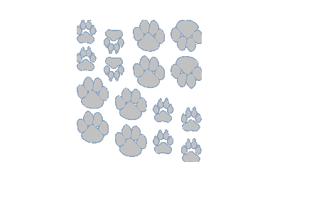 Auto Tattoo Cat&Dog Traces Silver 13.5x15.5cm