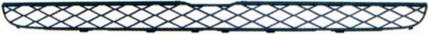 RadiatorGrill boven BMW X5 07-10
