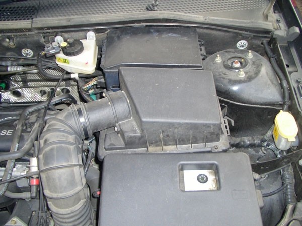 Pipercross Ford Focus Mk1 1.4 / 1.6 16v No AFM 06/01-12/04 Stand