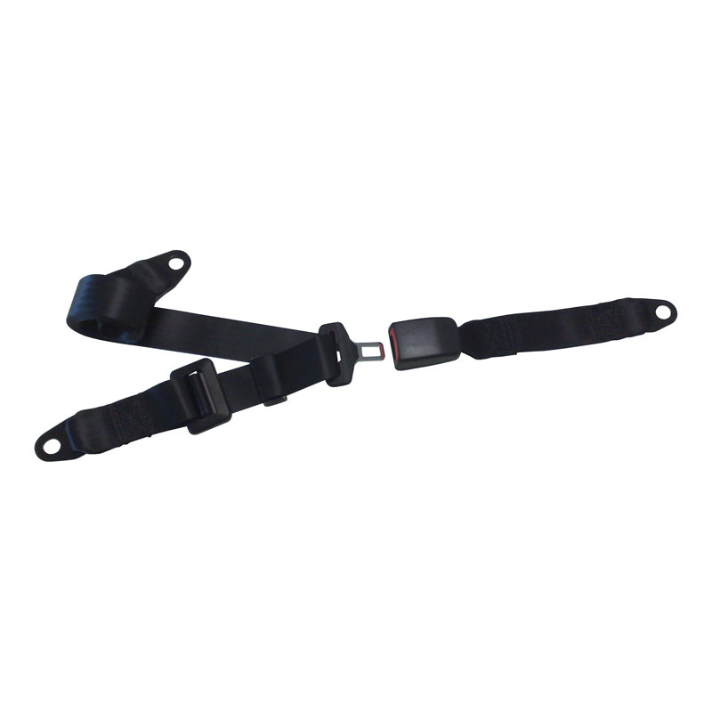 Carpoint Gordel 3-punts - Statisch 230cm