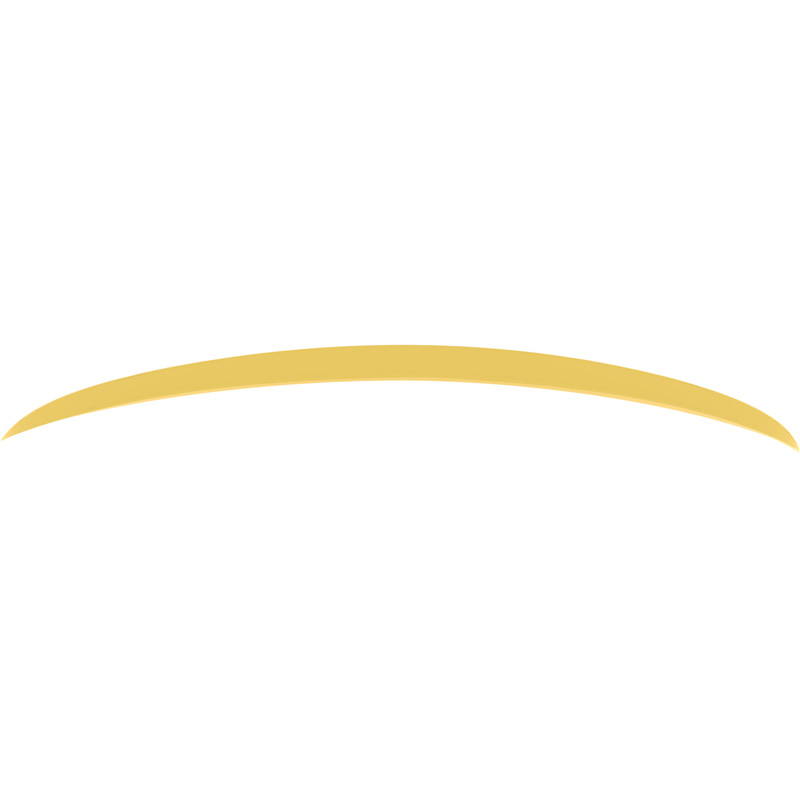 Motordrome Trunk spoiler lip  Mercedes C-Class W205 Sedan 2014-2021 (PU)