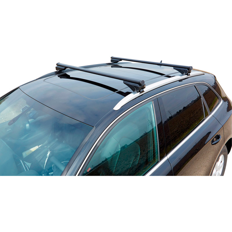 Roof bar set Twinny Load Steel S99 for several car types with closed or small open roof rails