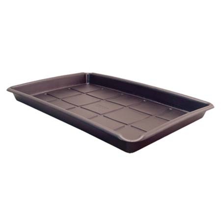 BIN
